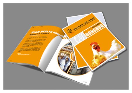 印刷廠樣本印刷設計如何把握文化基調